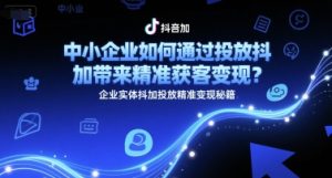 中小企业如何通过投放抖加带来精准获客变现？企业实体抖加投放精准变现秘籍-一号资源库