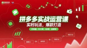 拼多多实战运营课，实时玩法，爆款打造，改销量，补大单，AB单，直播等（更新2025月）-一号资源库