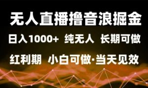 无人直播撸音浪掘金，日入1k+，纯无人红利期，小白可做，当天见效【揭秘】-一号资源库