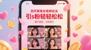 四开屏美女视频玩法，引s粉轻轻松松，暴力掘金，手机操作【揭秘】-一号资源库