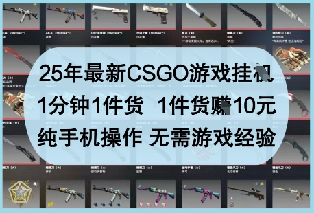 25年最新CSGO游戏挂G，1分钟1件货，1件货挣10元，纯手机操作，无需游戏经验【揭秘】-一号资源库