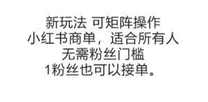 可矩阵操作，小红书商单新玩法，适合所有人，无需粉丝门槛，1粉丝也可以接单-一号资源库