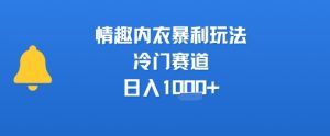 情趣内衣暴利玩法，冷门赛道，日入1k+-一号资源库