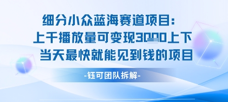 小众蓝海赛道项目：当天变现1k+适合新手操作 +适合长期玩-一号资源库