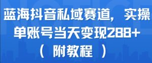 蓝海抖音私域赛道，实操单账号当天变现288+(附教程)-一号资源库