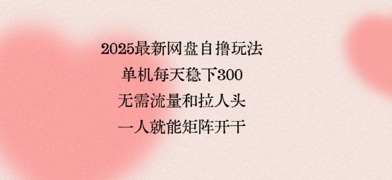 2025最新网盘自撸玩法，单机每天稳下3张，无需流量和拉人头，一个人就可轻松矩阵，全网独一份【揭秘】-一号资源库