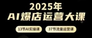 2025年AI爆店运营大课，13节AI实操课+37节流量运营课-一号资源库