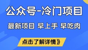 公众号冷门赛道，早上手早吃肉，单月轻松稳定变现1W【揭秘】-一号资源库