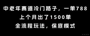 中老年赛道冷门路子，一单788，上个月出了1500单，全流程玩法，保底模式【揭秘】-一号资源库