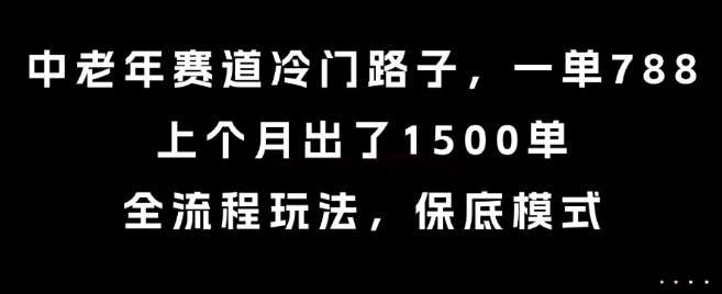 中老年赛道冷门路子，一单788，上个月出了1500单，全流程玩法，保底模式【揭秘】-一号资源库