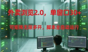 外卖浏览2.0，单窗口30+可矩阵无限多开，脚本全自动运行【揭秘】-一号资源库