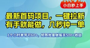 最新首码项目,一键拉新有手就能做,几秒钟一单,1个小时单号可60+,矩阵批量做每天5张【揭秘】-一号资源库