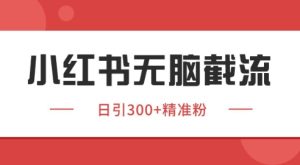 小红书截流同行客源，独家野路子获客玩法 日引200+暴力获客【揭秘】-一号资源库