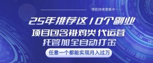 25年推荐这10个副业项目包含褂鸡类、代运营托管类、全自动打金类【揭秘】-一号资源库