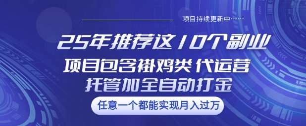 25年推荐这10个副业项目包含褂鸡类、代运营托管类、全自动打金类【揭秘】-一号资源库