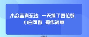 小众蓝海玩法 一天搞了四位数 小白可做 操作简单-一号资源库