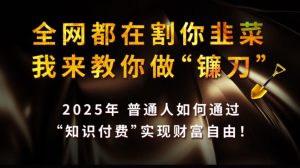 全网都在割你韭菜，我来教你做镰刀,2025普通人如何通过知识付费，实现财F自由【揭秘】-一号资源库