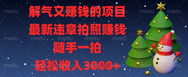解气又挣钱的项目，最新违章拍照挣钱，随手一拍，轻松收入数张【揭秘】-一号资源库