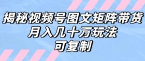 解密视频号图文矩阵带货，月入几个W的打法，可复制-一号资源库