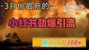小红书超劲爆引流手段，图文日引300+轻松变现1W-一号资源库