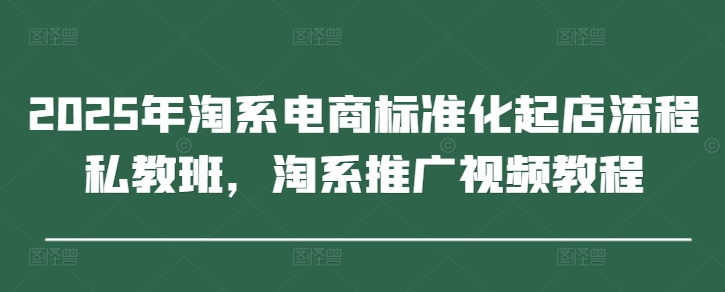 2025年淘系电商标准化起店流程私教班，淘系推广视频教程-一号资源库