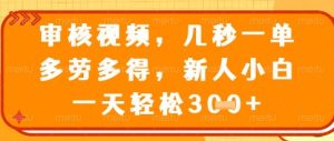 视频审核员，几秒一单，不限时间，不限地点，多做多得，新人小白一天轻松几张+【揭秘】-一号资源库