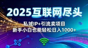 2025网创尽头王炸项目！私域IP+精准引流，新手小白在家躺賺日入1k，零经验也能上手【揭秘】-一号资源库