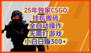 25年独家CSGO挂G搬砖，全自动操作，无需打游戏，小白日入3张+【揭秘】-一号资源库