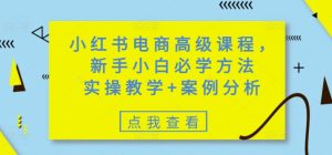 小红书电商高级课程，新手小白必学方法，实操教学+案例分析-一号资源库
