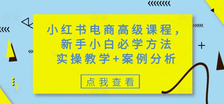小红书电商高级课程，新手小白必学方法，实操教学+案例分析-一号资源库