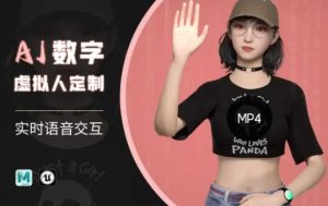 Ai数字人虚拟(智能体)实时语音交互特训营，​自行定制超写实角色AI数字人交互技术-一号资源库