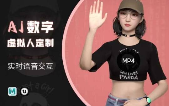 Ai数字人虚拟(智能体)实时语音交互特训营，​自行定制超写实角色AI数字人交互技术-一号资源库