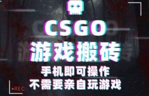 CSGO游戏挂G捡漏，单日扫货5张+，年底小高峰上车可吃肉，手机即可操作，兼职副业创业网创【揭秘】-一号资源库