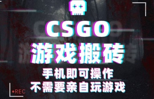 CSGO游戏挂G捡漏，单日扫货5张+，年底小高峰上车可吃肉，手机即可操作，兼职副业创业网创【揭秘】-一号资源库