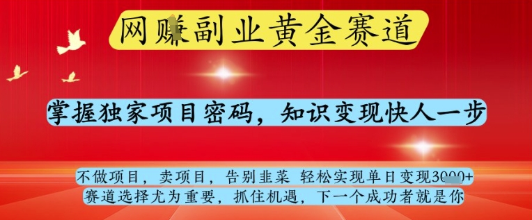 网创副业黄全赛道，掌握独家项目密码，知识变现快人一步，告别韭菜轻松实现单日变现1k+【揭秘】-一号资源库