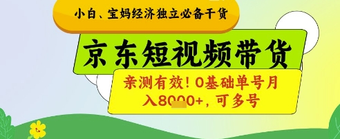 小白宝妈经济独立必备干货，京东短视频带货，亲测有效!0基础单号月入8k+，可多号【揭秘】-一号资源库