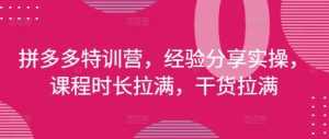 拼多多特训营，经验分享实操，课程时长拉满，干货拉满(更新25年4月)-一号资源库