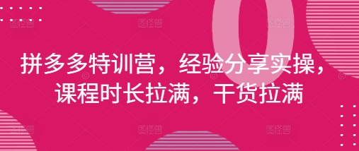 拼多多特训营，经验分享实操，课程时长拉满，干货拉满(更新25年4月)-一号资源库