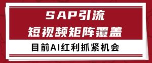 小红书某音sap赛道引流获客 自热矩阵日引200+【揭秘】-一号资源库