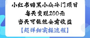 小红书暗黑小众冷门项目每天变现2张当天可能就会有收益-一号资源库