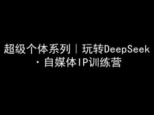 超级个体系列，玩转DeepSeek·自媒体IP训练营，deepseek教程-一号资源库