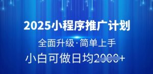 2025小程序推广计划，全面升级，简单上手，日均多张【揭秘】-一号资源库