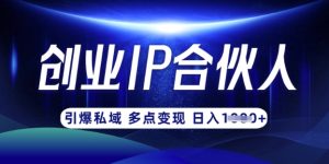 云帆·创业ip合伙人打造3.0，从0到1教你做网创，实现月入过W-一号资源库