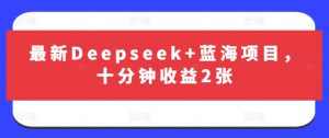 最新Deepseek+蓝海项目，十分钟收益2张-一号资源库