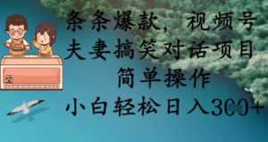 条条爆款，视频号夫妻搞笑对话项目，简单操作，小白轻松日入3张+-一号资源库