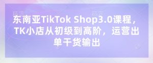 东南亚TikTok Shop3.0课程，TK小店​从初级到高阶，运营出单干货输出-一号资源库
