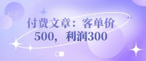 付费文章：客单价500，利润300-一号资源库