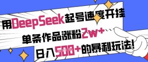 用DeepSeek起号速度开挂，单条作品涨粉2w+，日入5张+的暴利玩法-一号资源库