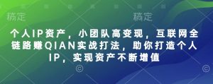 个人IP资产，小团队高变现，互联网全链路赚QIAN实战打法，助你打造个人IP，实现资产不断增值-一号资源库