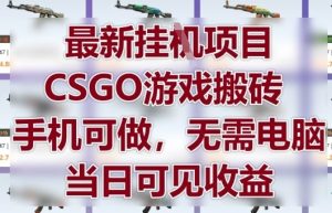 最新挂G项目，CSGO游戏搬砖，手机可做，无需电脑，当日见收益【揭秘】-一号资源库